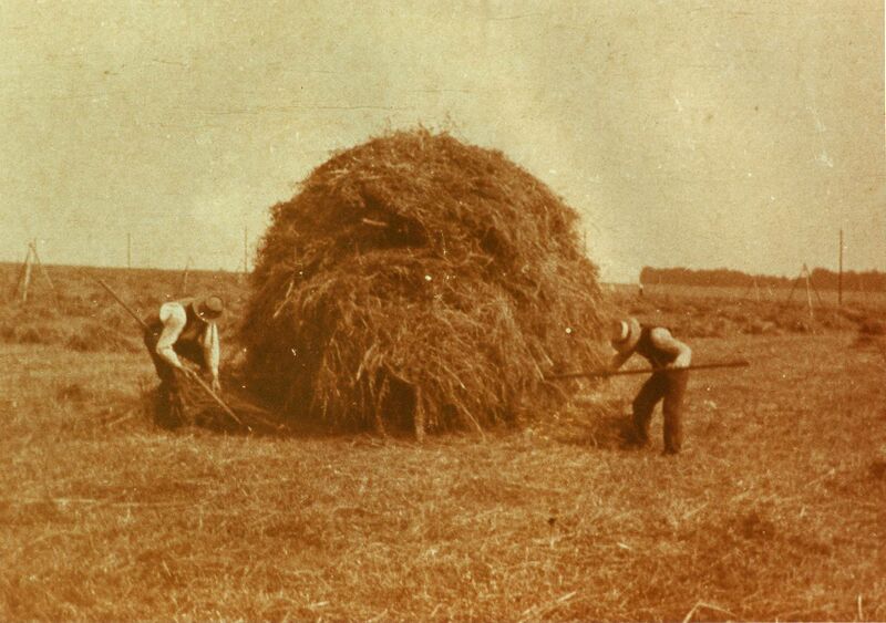 Datei:Heuarbeit 3 ak.jpg