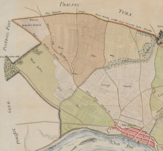 Ausschnitt aus Spezialgrundriß des Mülheimischen Territorii von C. Crapet anno 1803 mit Schönrather Hof am linken Rand