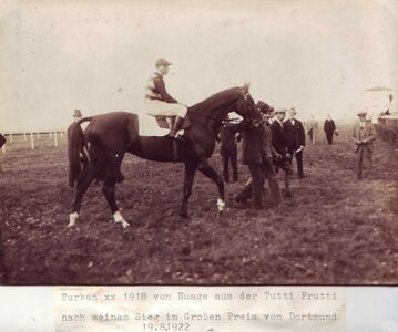 Hengst Turban nach seinem Sieg im Großen Preis von Dortmund 1922